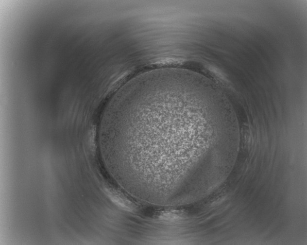 X0000062790550200512261558