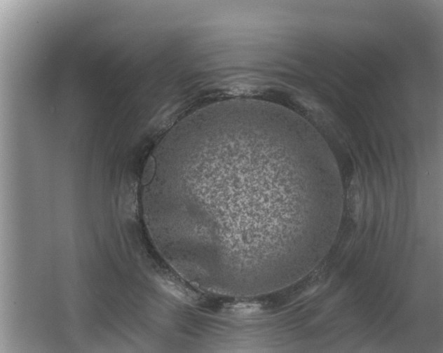 X0000062790554200512261558