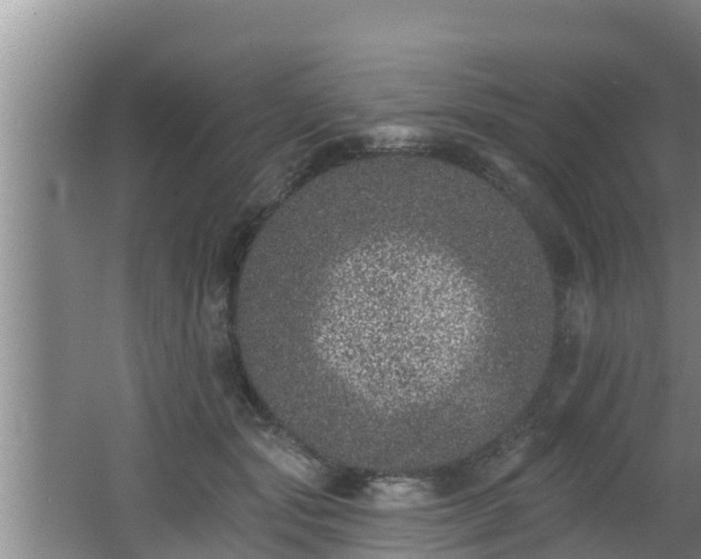 X0000062790557200512261558