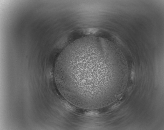 X0000062790561200512261558