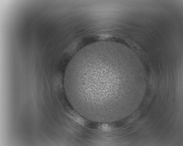 X0000062790565200512261558