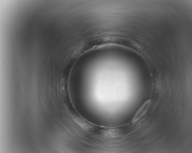 X0000062790567200512261558