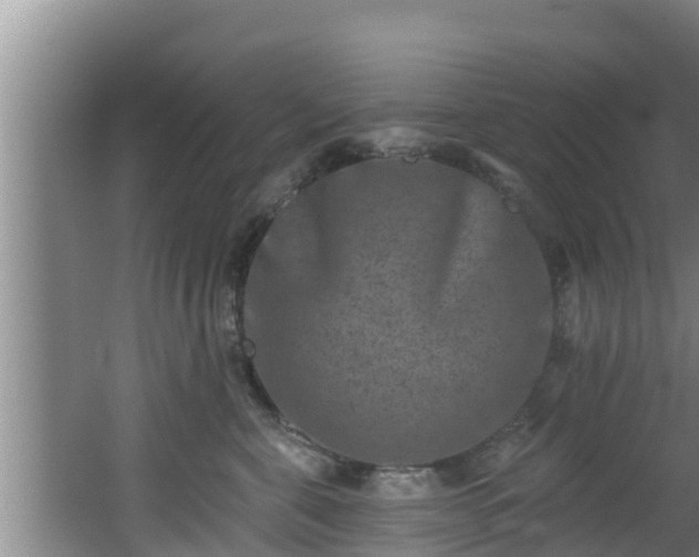 X0000062790571200512261558