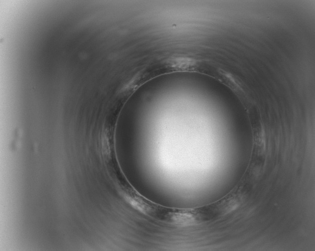 X0000062790572200512261558