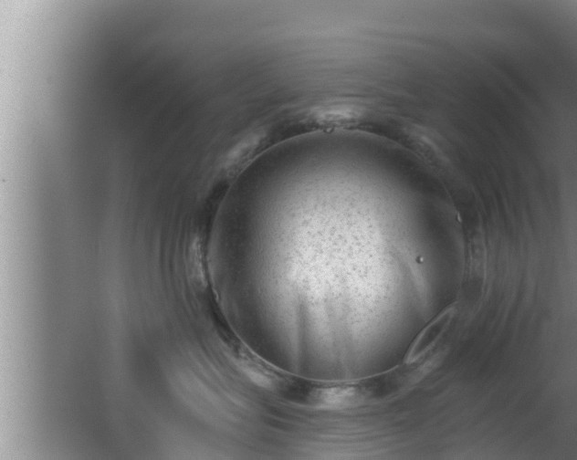 X0000062790575200512261558