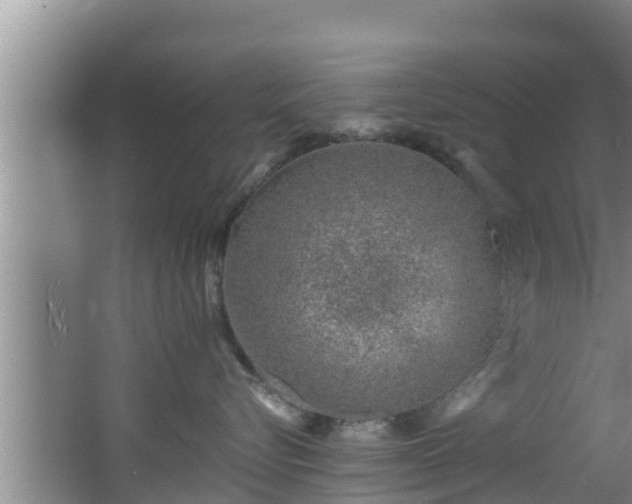 X0000062790576200512261558