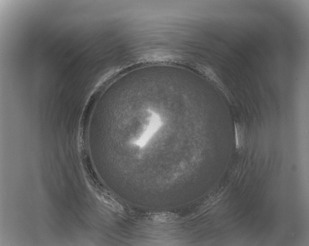 X0000062790579200512261558