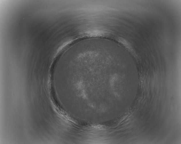 X0000062790583200512261558