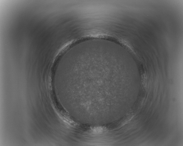 X0000062790587200512261557