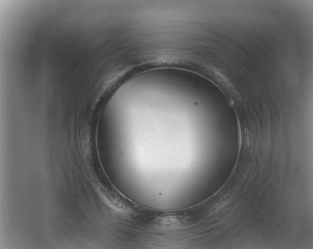 X0000062790588200512261557