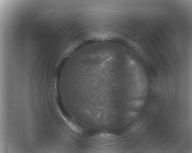 X0000062790590200512261557