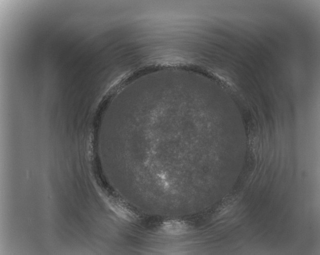 X0000062790591200512261557