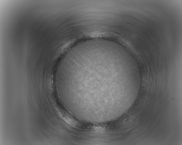 X0000062790592200512261557