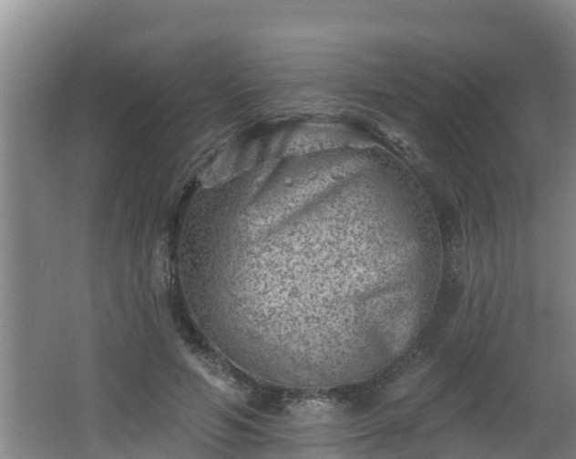 X0000062790594200512261557