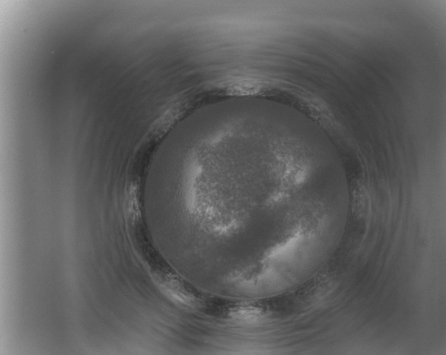 X0000062790598200512261557