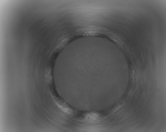 X0000062790599200512261557