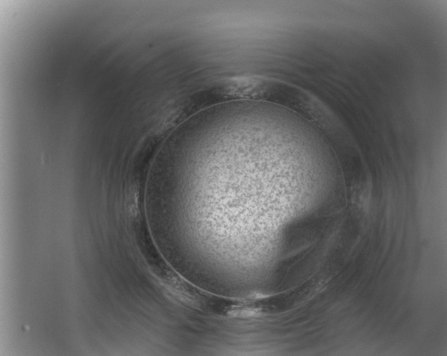 X0000062790602200512261557