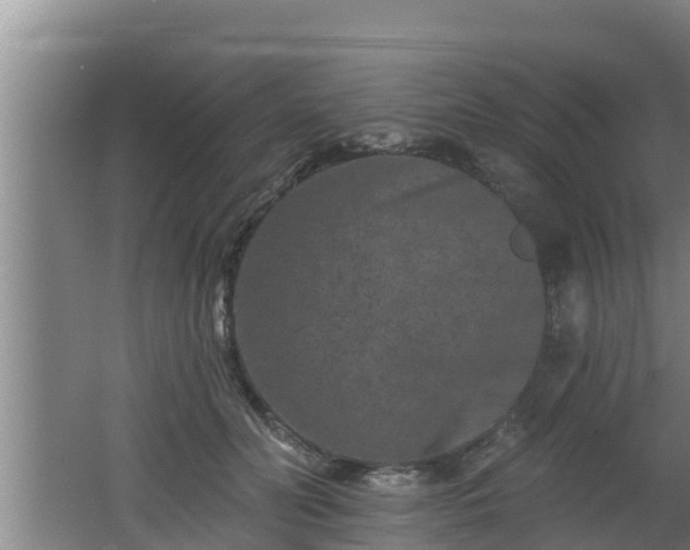 X0000062790606200512261557