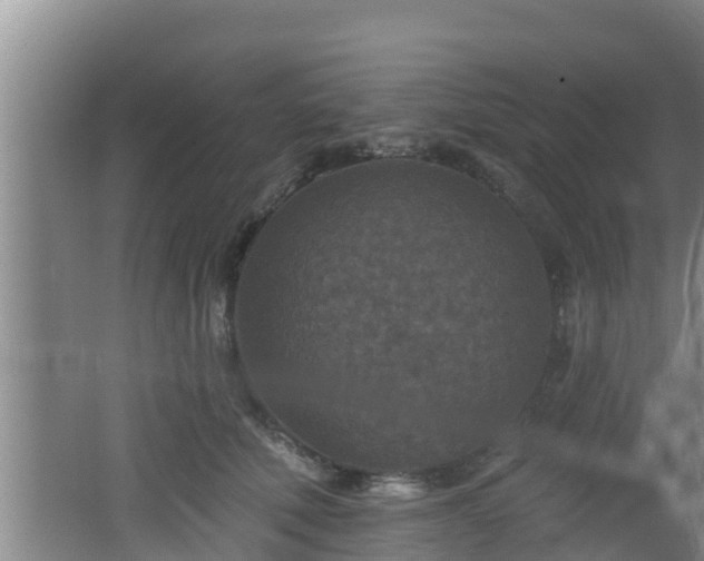 X0000062790610200512261557