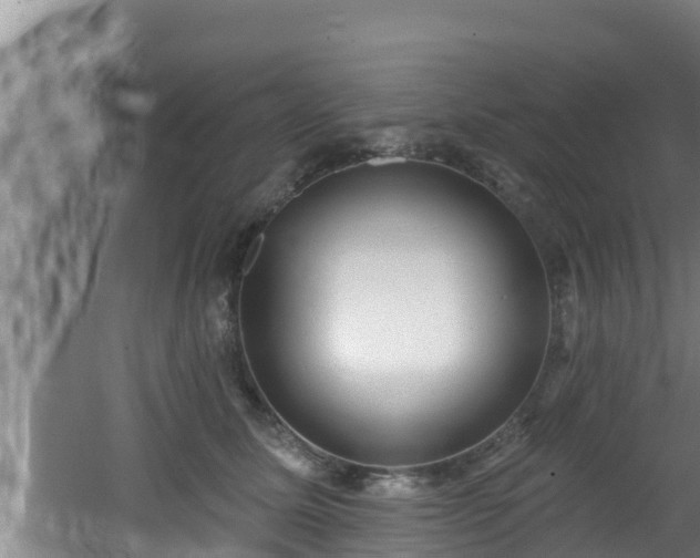 X0000062790611200512261557