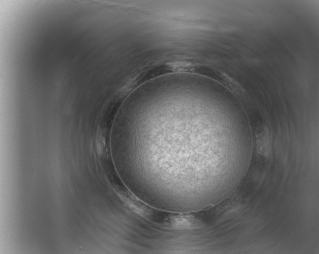 X0000062790618200512261557