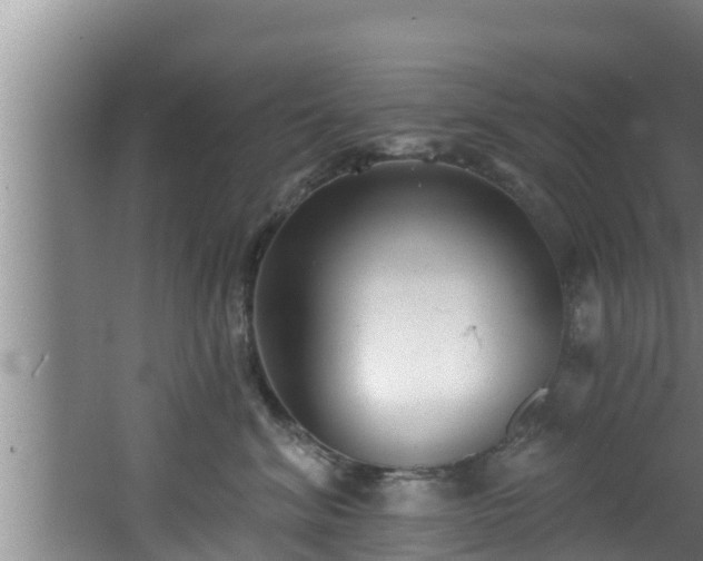 X0000062790620200512261557