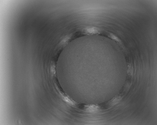 X0000062790621200512261557