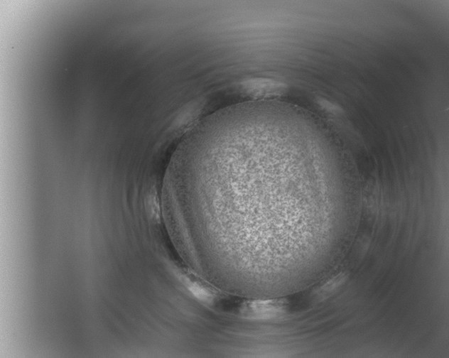 X0000062790622200512261557