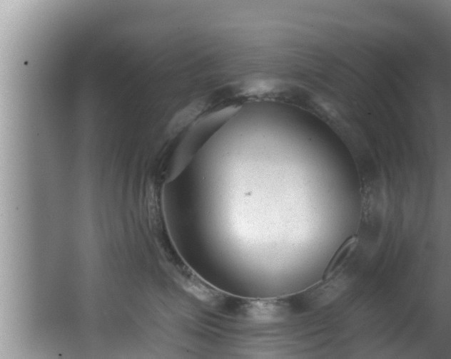 X0000062790623200512261557