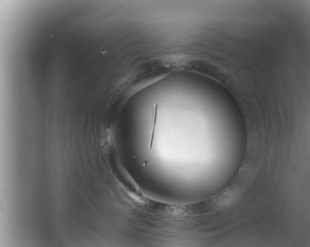 X0000062790624200512261557