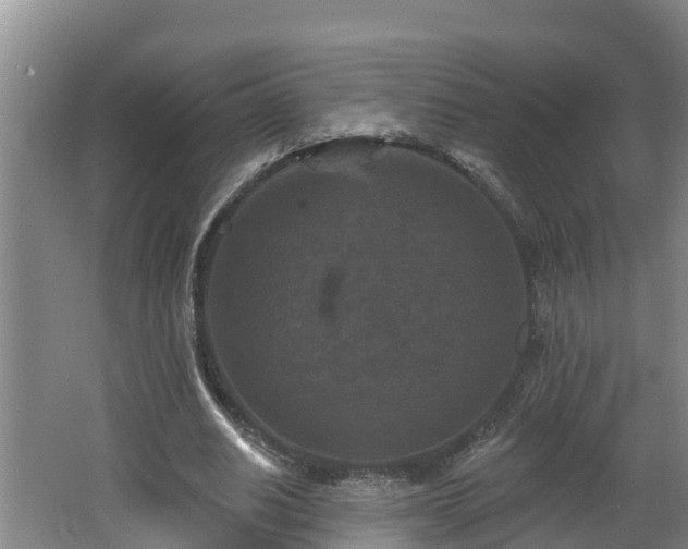 X0000062790630200512261556