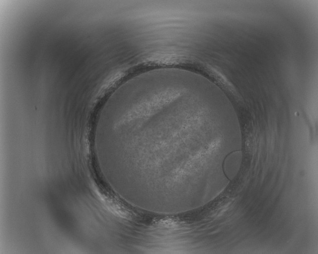 X0000062790635200512261556