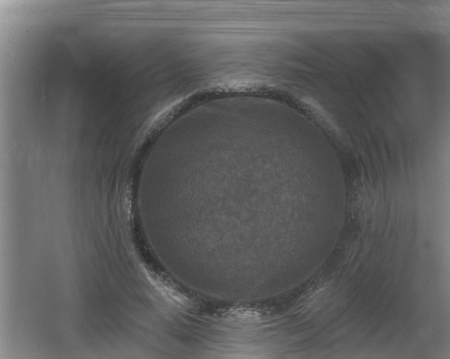 X0000062790640200512261556