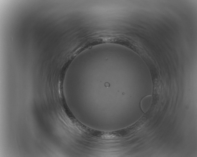 X0000062790650200512261556