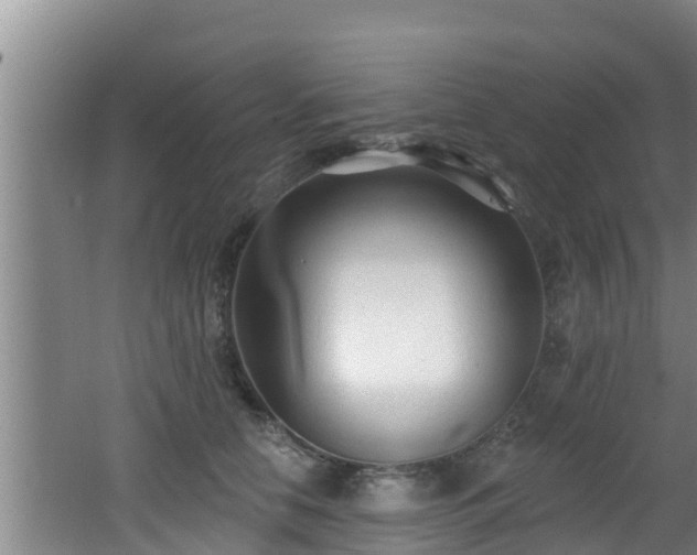 X0000062790658200512261557