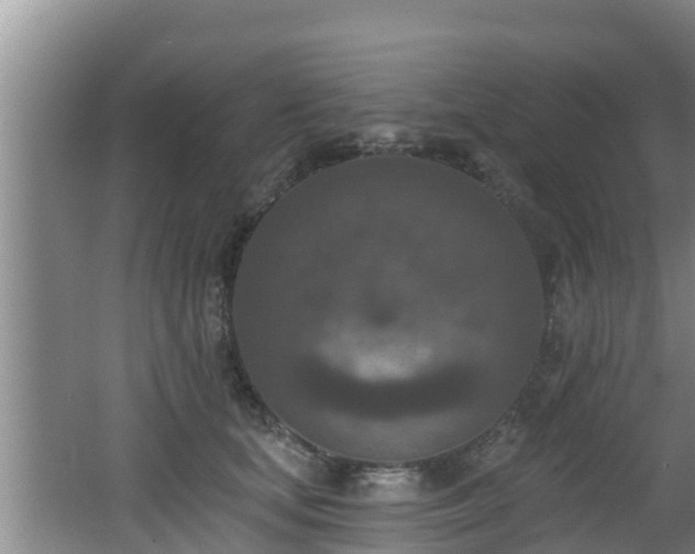 X0000062790659200512261557