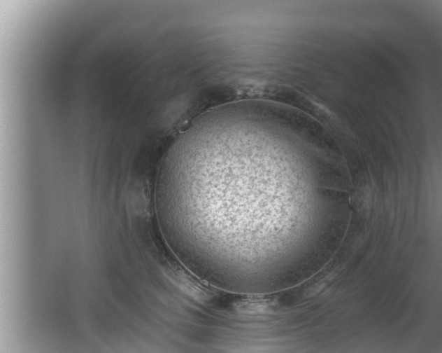 X0000062790661200512261557