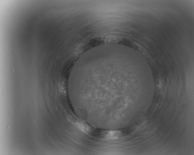 X0000062790663200512261557