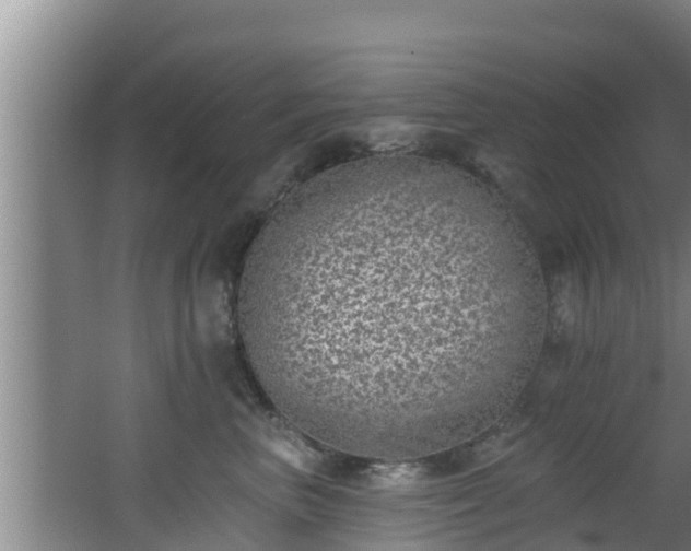 X0000062790667200512261557