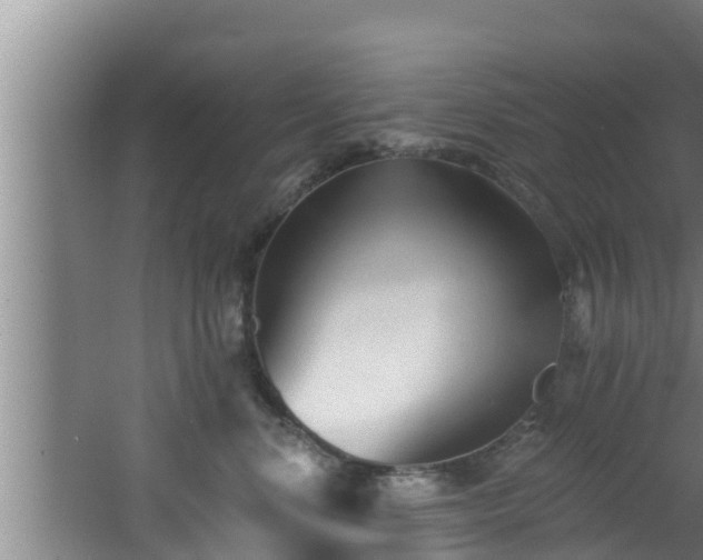 X0000062790668200512261557