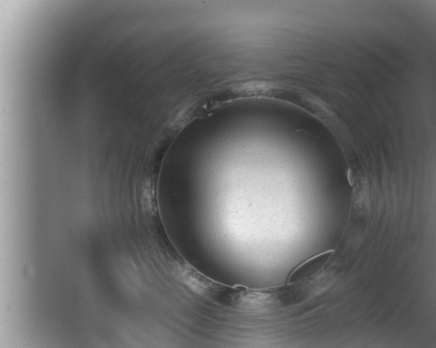 X0000062790669200512261557