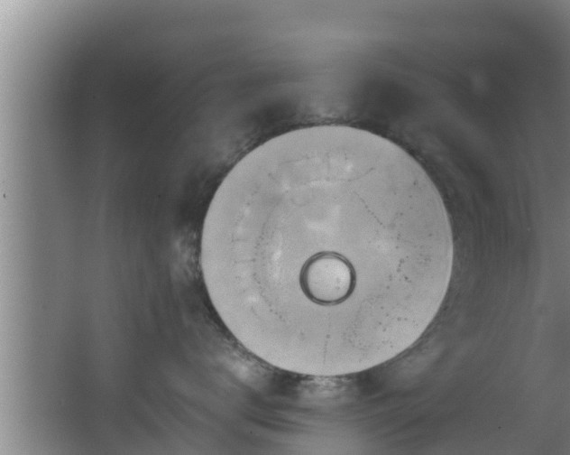 X0000062790672200512261557