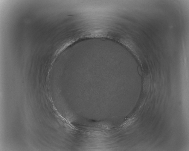 X0000062790673200512261556