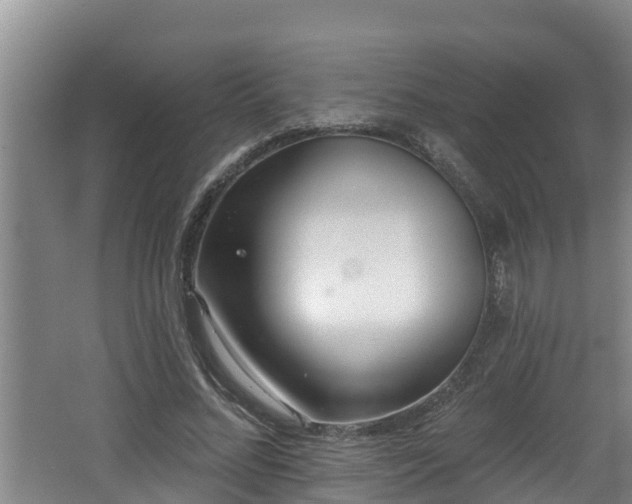 X0000062790684200512261556