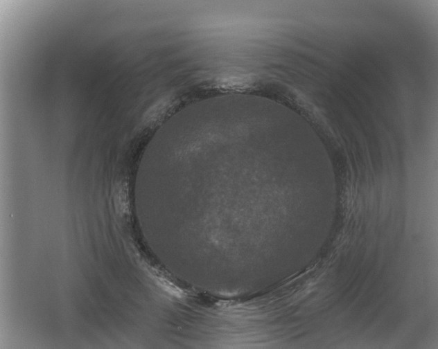 X0000062790689200512261556