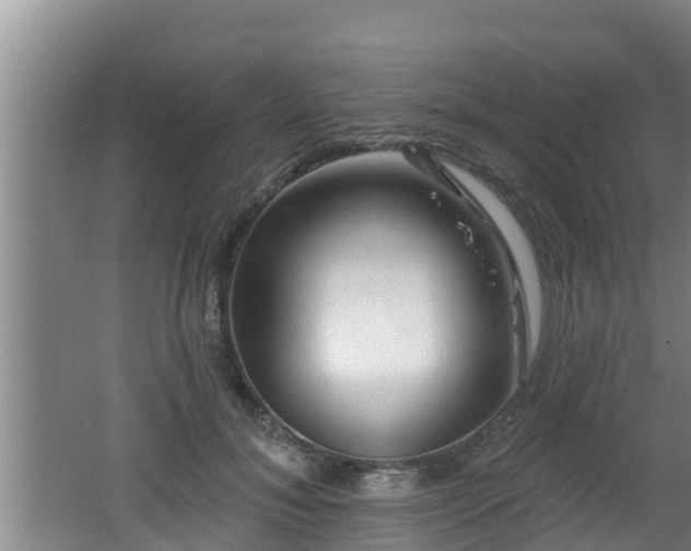 X0000062790700200512261556