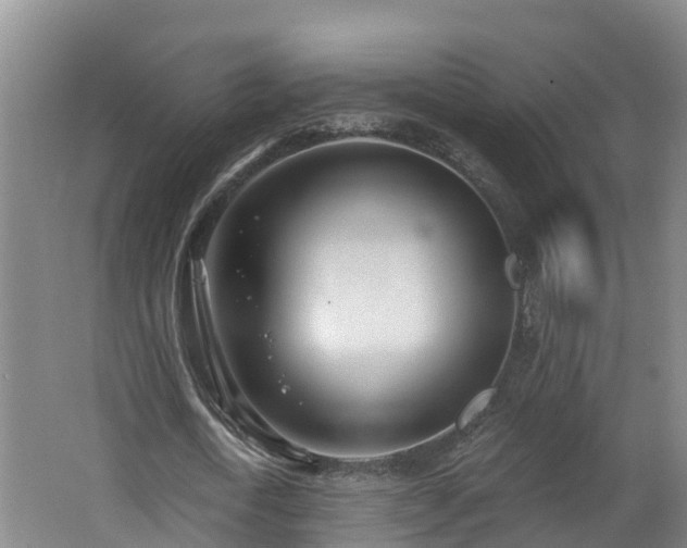 X0000062790722200512261554
