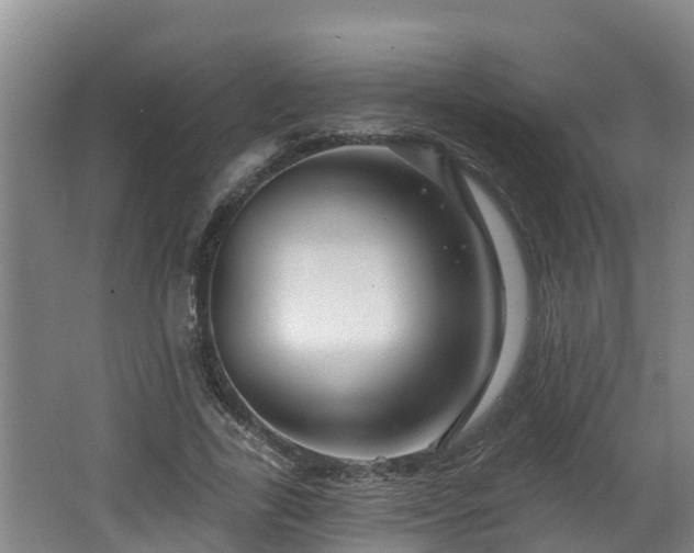 X0000062790731200512261555