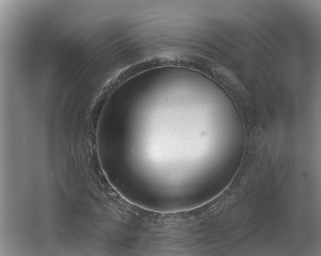 X0000062790776200512261554