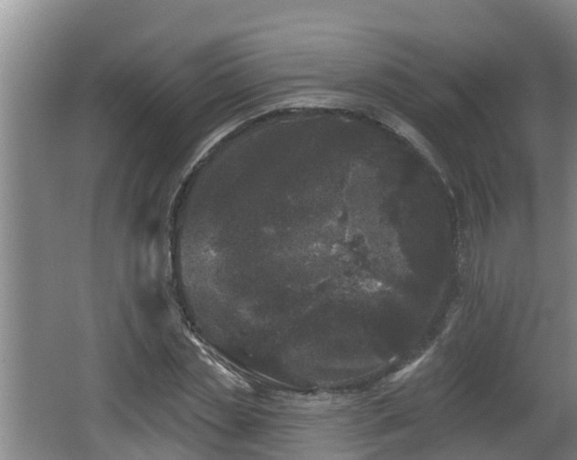 X0000062790829200512261553